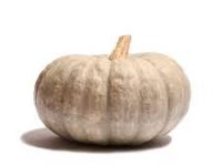 calabaza redonda