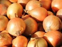 cebolla de guardar