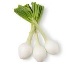 cebollas tiernas