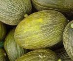 melones