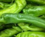 pimientos