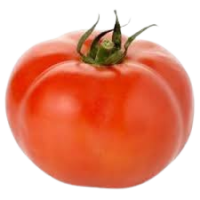 tomate_rastrero-removebg-preview